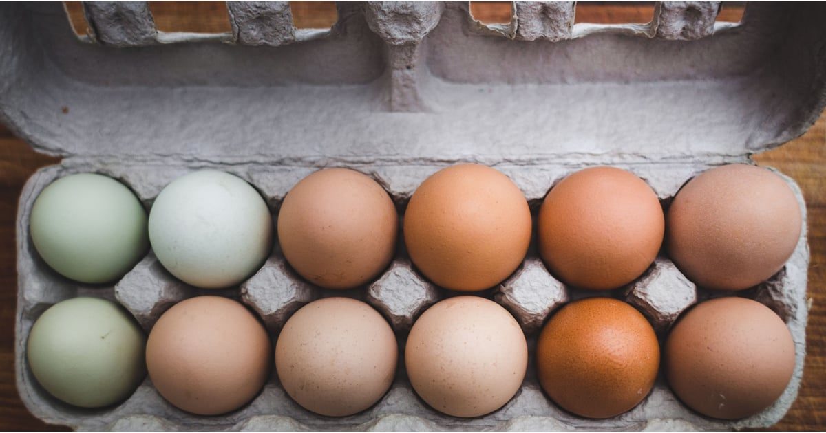 Difference in Types of Eggs